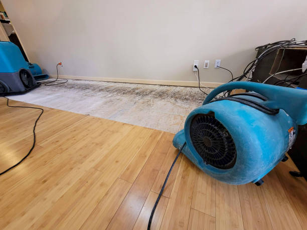 Professional Water Removal technician working in Basehor, KS